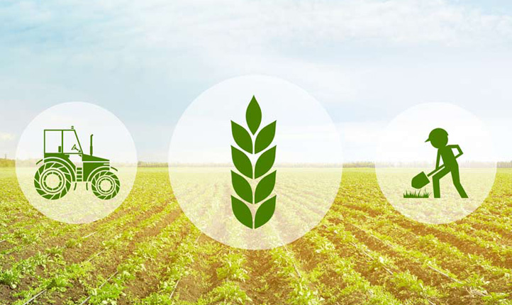Agraria Agroalimentare e Agroindustria Privato