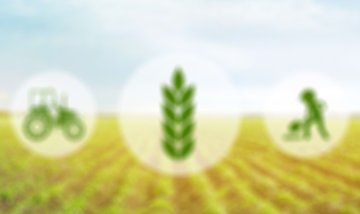 Agraria Agroalimentare e Agroindustria Privato